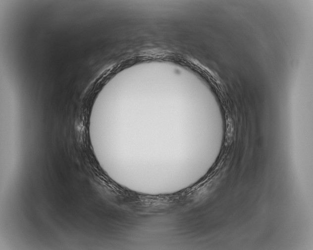 X0000116841254200912181107
