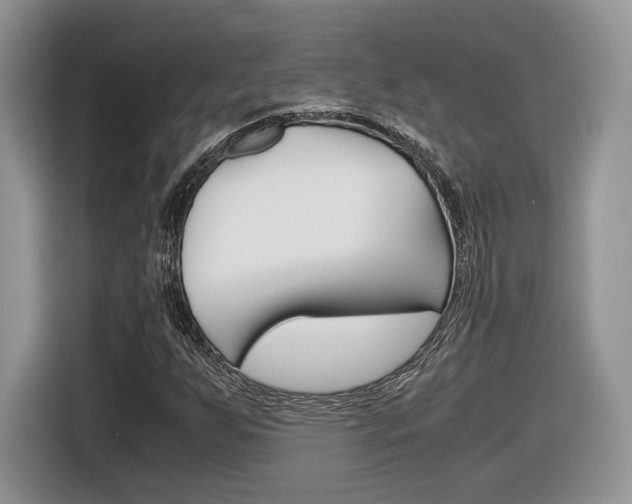 X0000116841255200912181107
