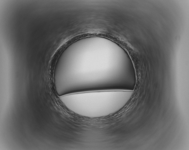 X0000116841256200912181107