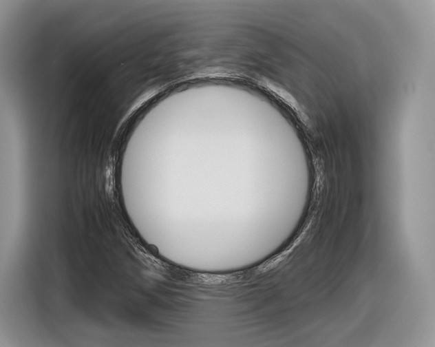 X0000116841258200912181107