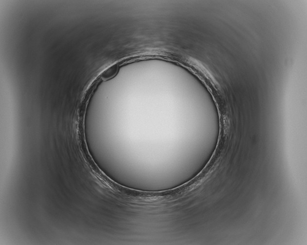 X0000116841260200912181107
