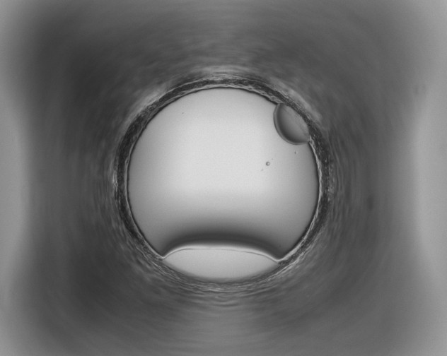 X0000116841261200912181107