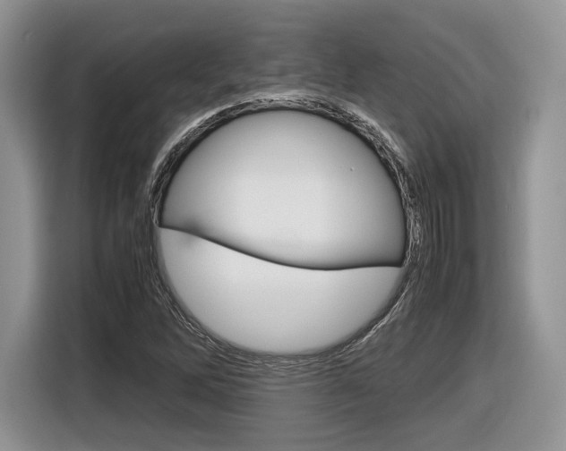 X0000116841262200912181107