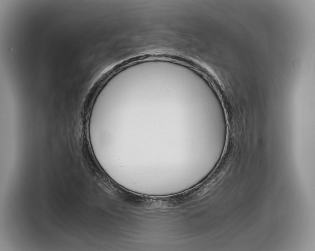 X0000116841263200912181107
