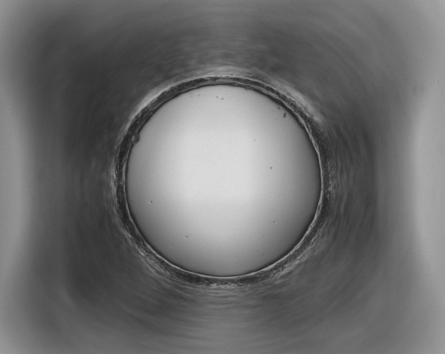 X0000116841264200912181107