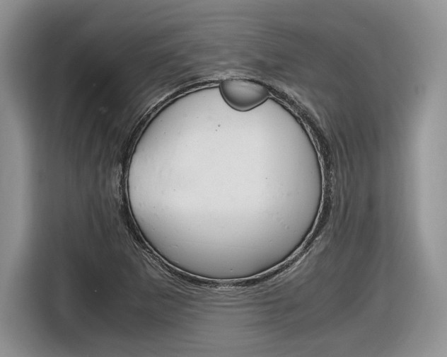 X0000116841265200912181107