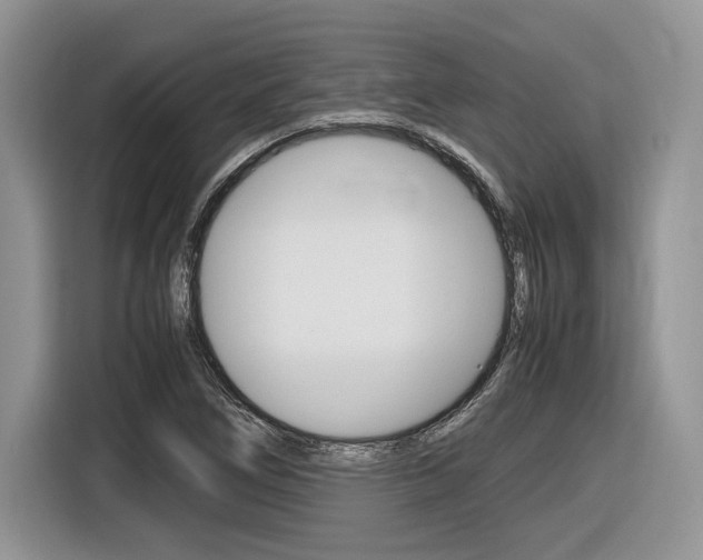 X0000116841266200912181107