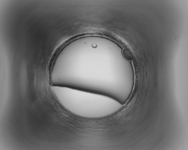 X0000116841267200912181107