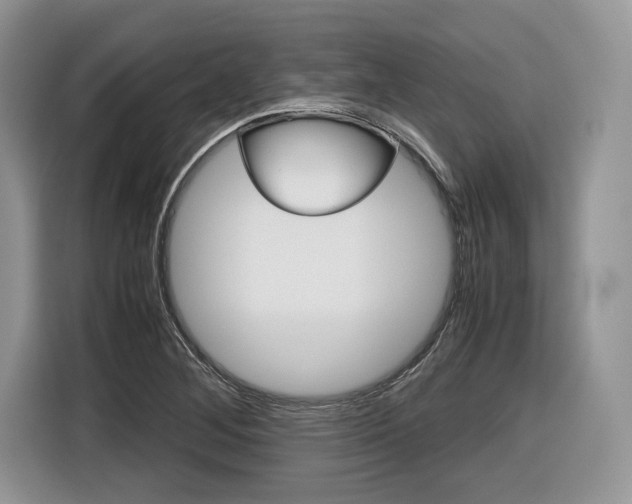 X0000116841268200912181107