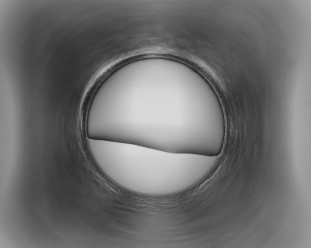 X0000116841270200912181107