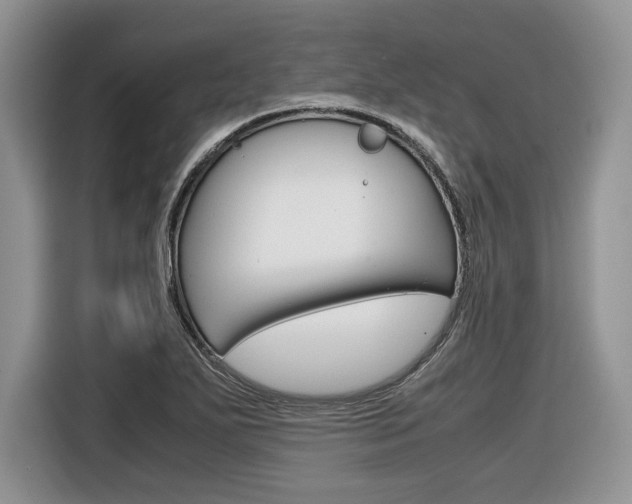 X0000116841271200912181107