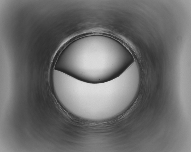 X0000116841272200912181107