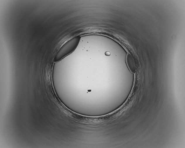 X0000116841273200912181107