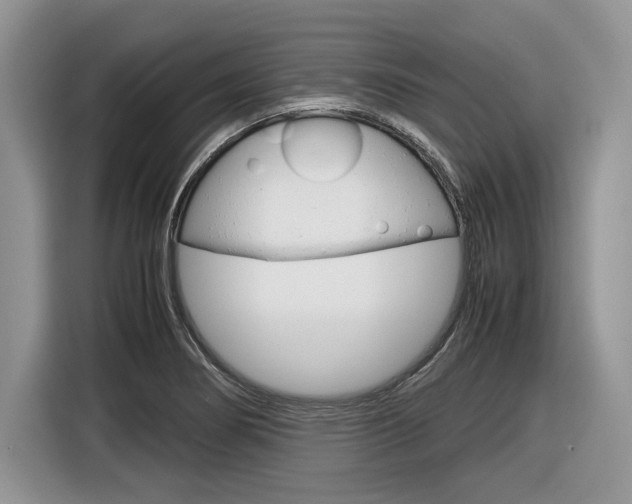 X0000116841274200912181107