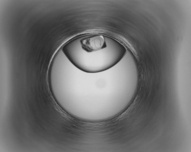 X0000116841276200912181107