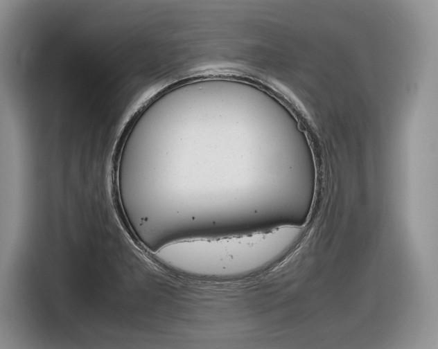 X0000116841277200912181107
