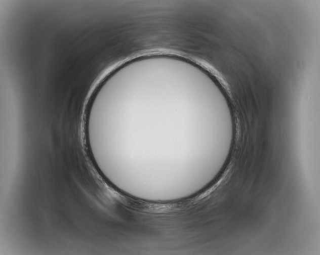 X0000116841278200912181107