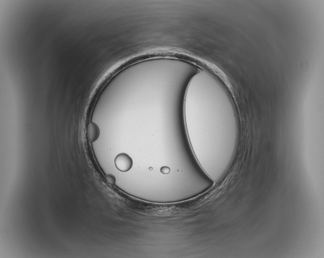 X0000116841279200912181107