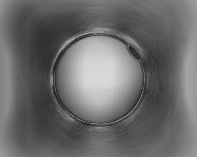 X0000116841280200912181107