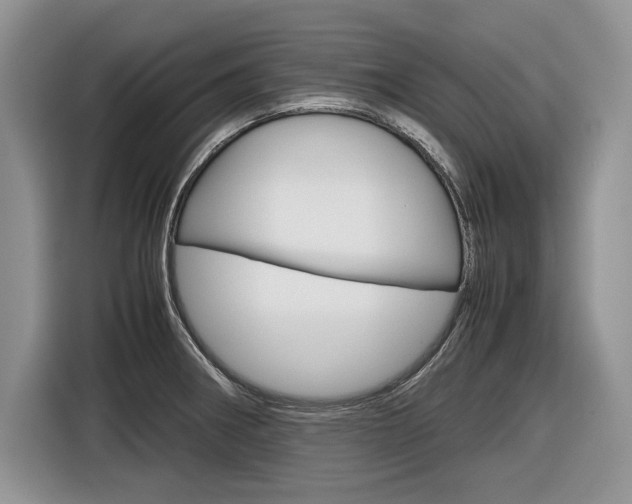 X0000116841282200912181107
