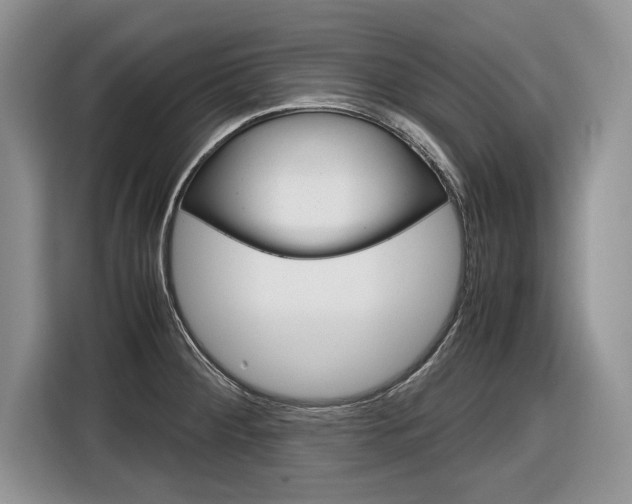 X0000116841284200912181107