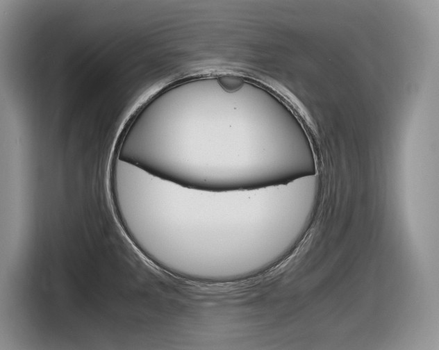 X0000116841285200912181107