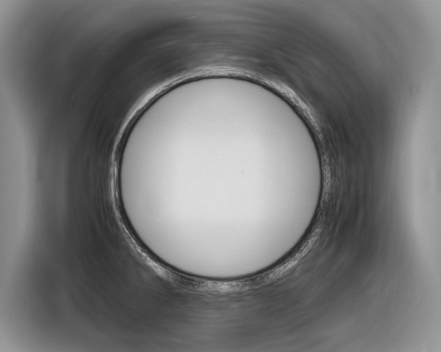 X0000116841286200912181107