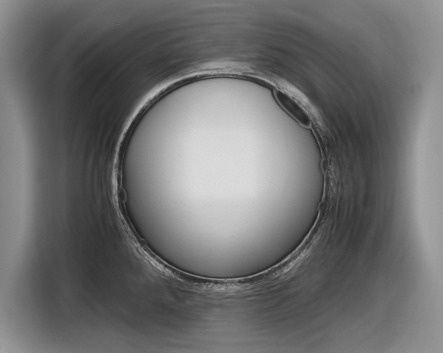X0000116841288200912181107