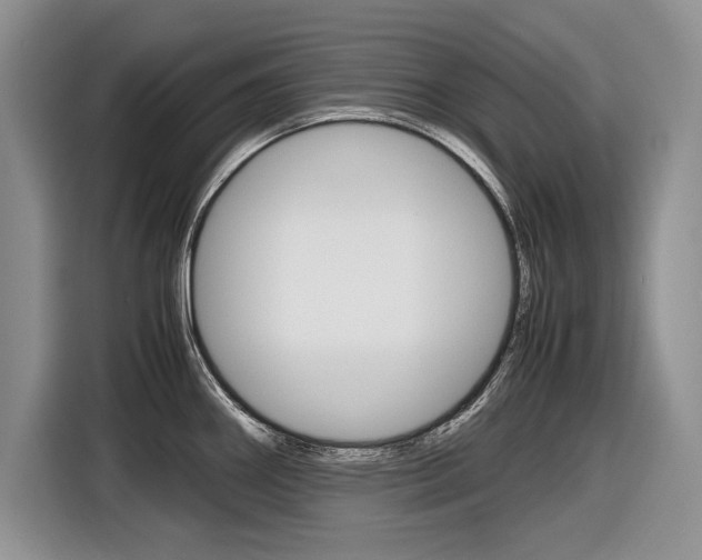 X0000116841290200912181107