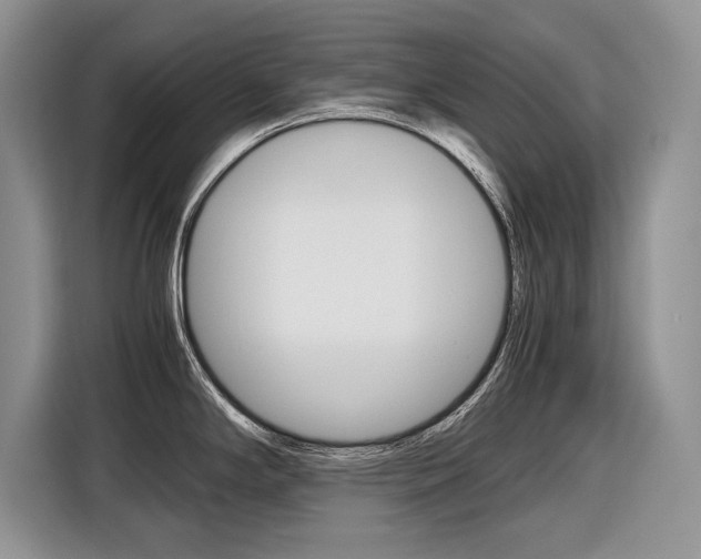 X0000116841294200912181107