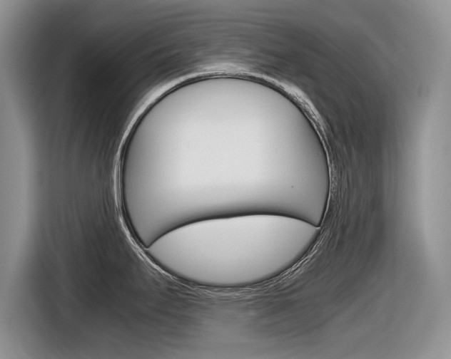 X0000116841295200912181107
