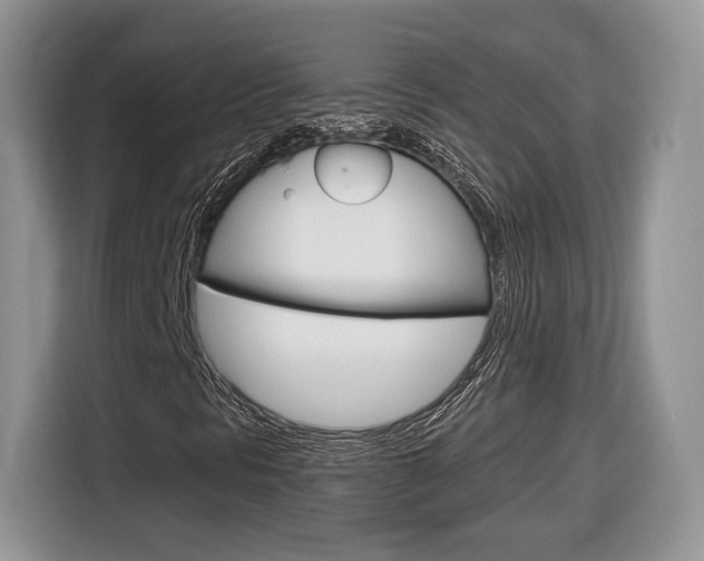 X0000116841297200912181106