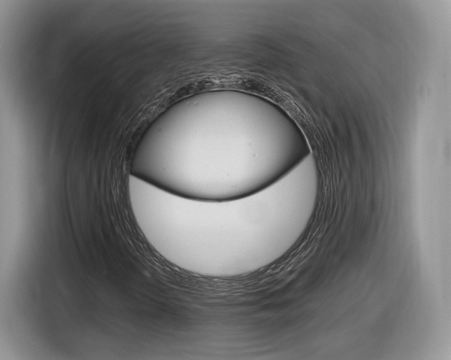 X0000116841298200912181106