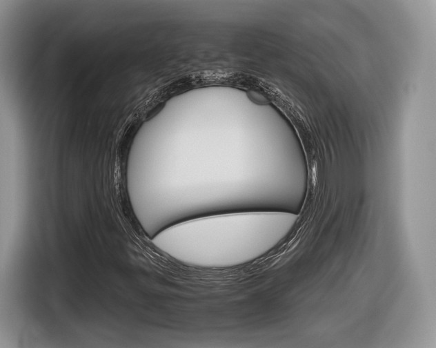 X0000116841299200912181106