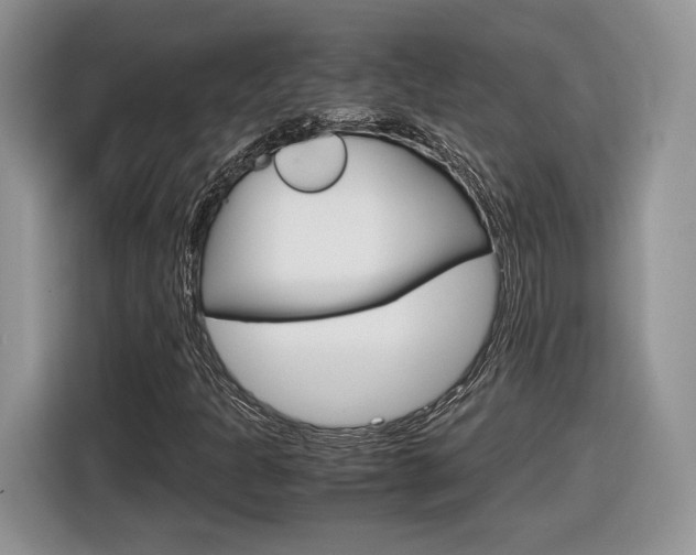 X0000116841301200912181106