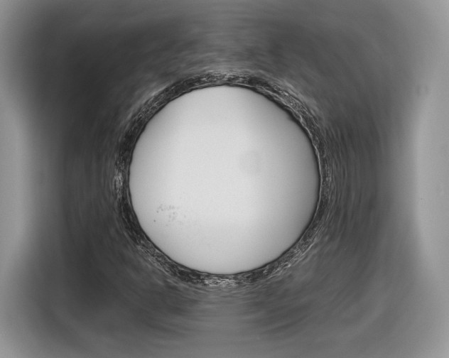 X0000116841302200912181106