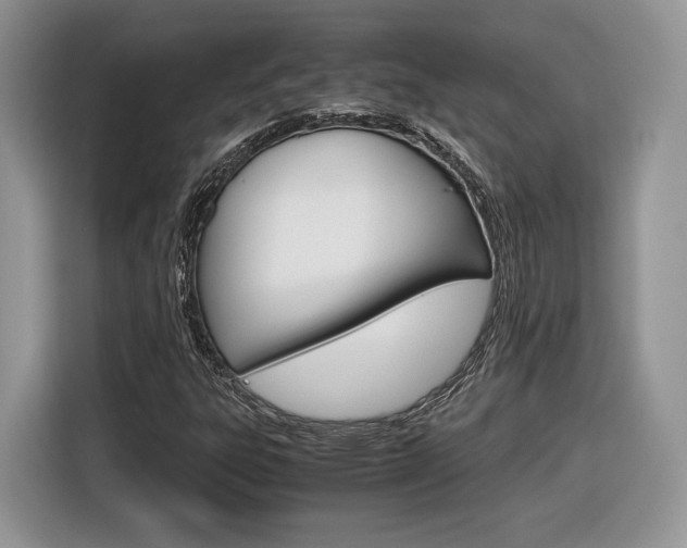 X0000116841303200912181106