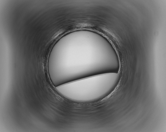 X0000116841305200912181106