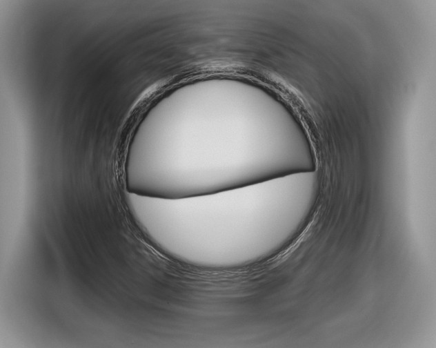 X0000116841306200912181106