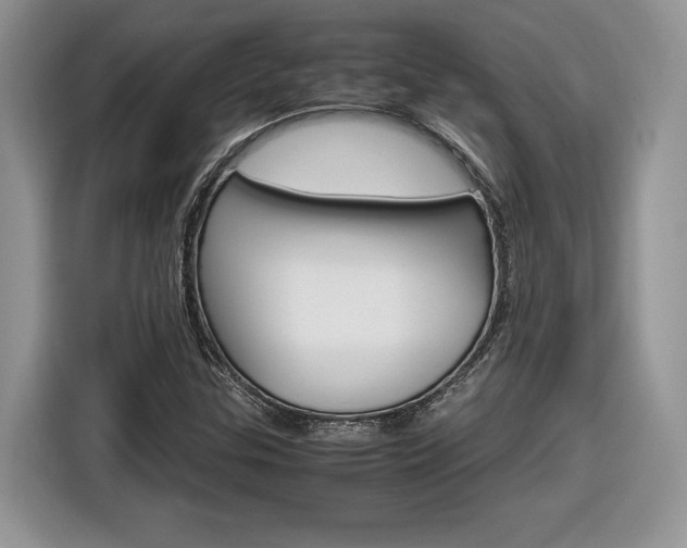 X0000116841307200912181106