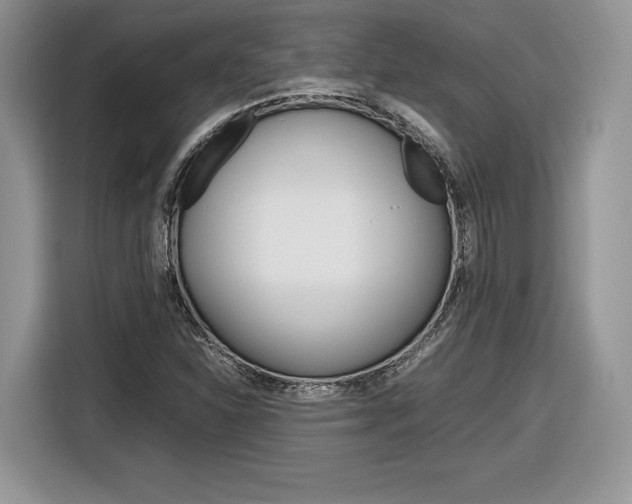 X0000116841310200912181106