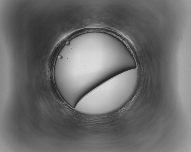 X0000116841311200912181106