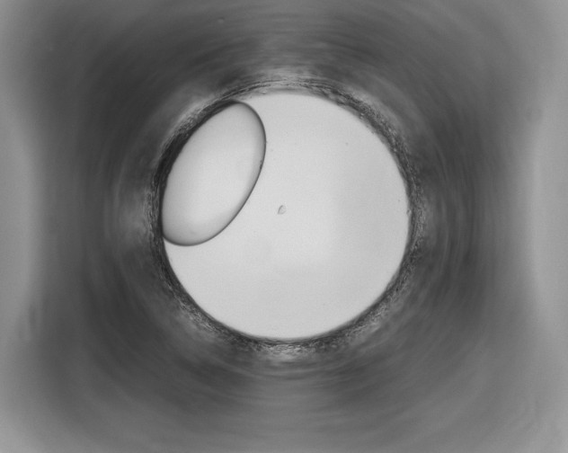 X0000116841314200912181106