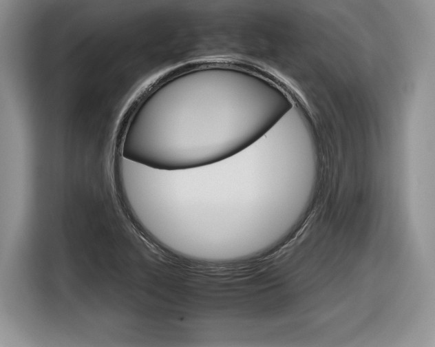 X0000116841319200912181106