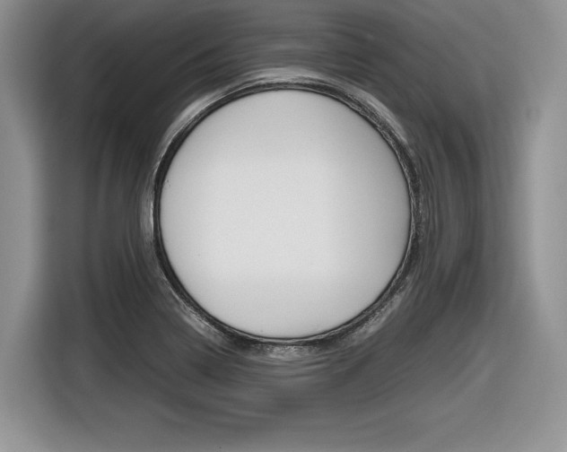 X0000116841322200912181106