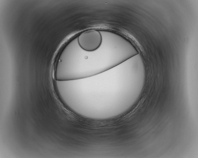 X0000116841323200912181106