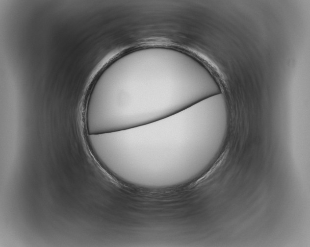 X0000116841325200912181106