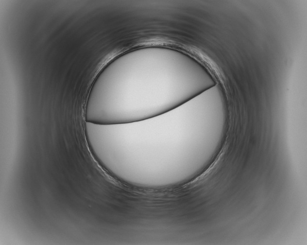 X0000116841329200912181106