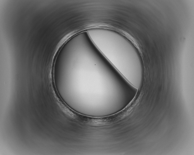 X0000116841330200912181106