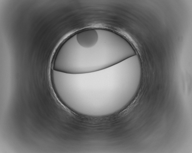 X0000116841331200912181106